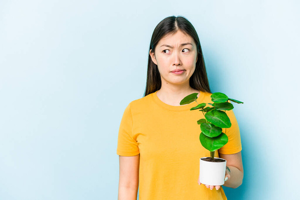 Joven mujer asiática sosteniendo una planta aislada sobre fondo azul confundida, se siente dudosa e insegura. - Foto, Imagen