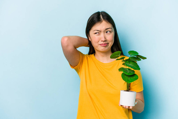 Mladá Asiatka drží rostlinu izolovanou na modrém pozadí, dotýká se týla hlavy, přemýšlí a činí rozhodnutí. - Fotografie, Obrázek