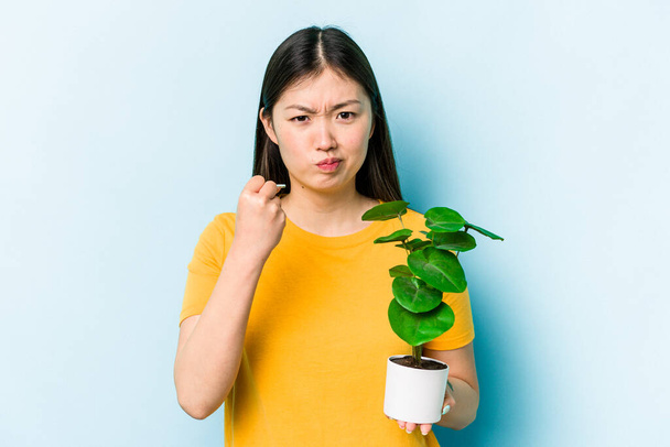 Joven asiática sosteniendo una planta aislada sobre fondo azul mostrando puño a cámara, agresiva expresión facial. - Foto, imagen
