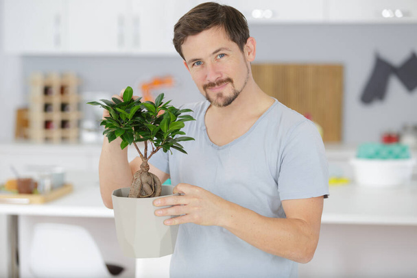 man taking care of bonsai plant - Foto, afbeelding