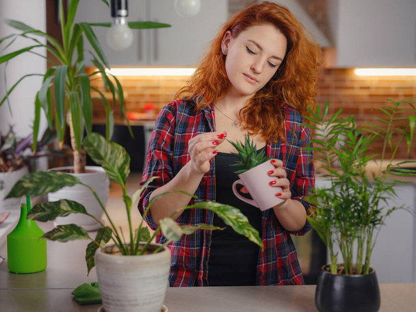Young smiling female gardener in plaid shirt taking care of plants. Home gardening, houseplant love, freelancing. Home gardening and slow life rituals. Indoor gardening. - Photo, image
