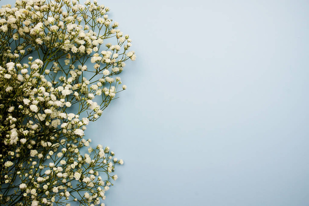 Space for copy background and flower decoration - Valokuva, kuva