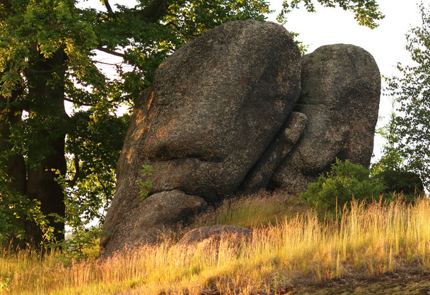A rock under a tree on a hill resembling the head of a stone giant. Sleeping stone man. - Foto, Imagem