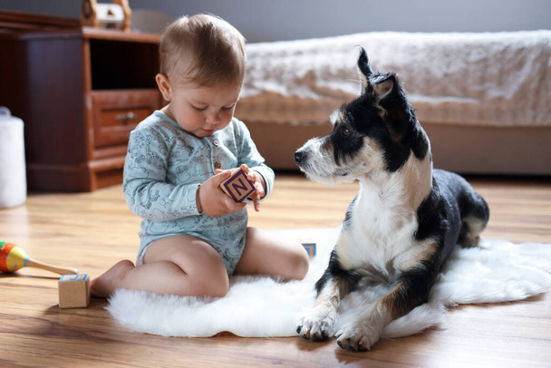 Adorable baby with toys and cute dog on faux fur rug at home - Фото, зображення