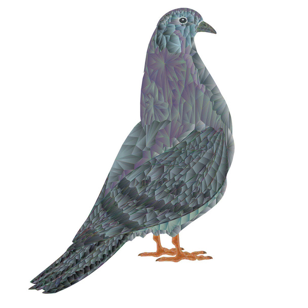 Carriers pigeon one domestic breeds sports bird polygons and outline  vector  animals illustration for design editable hand draw - Διάνυσμα, εικόνα