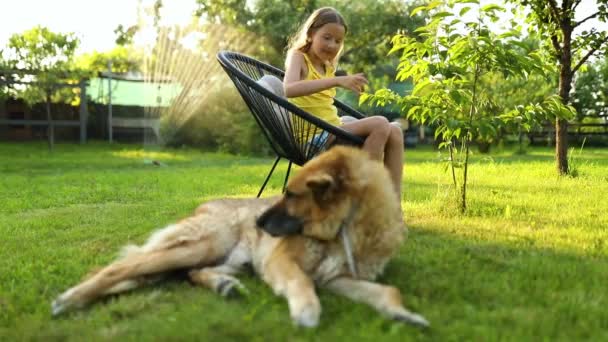 Pies leżący na trawie, słodka dziewczynka bawiąca się w grę na telefonie komórkowym w parku na świeżym powietrzu, dziecko korzystające ze smartfona w ogrodzie, podwórko, światło słoneczne, Zwierzęta miłosne, letni dzień - Materiał filmowy, wideo