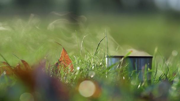 熱いお茶と魔法瓶カップを閉じます緑の草立っている。暖かい飲み物の上の軽い蒸気上昇穏やかな秋の朝。秋のオレンジの葉はアルミマグカップの近くに地面に横たわっています。鮮やかな秋の自然背景. - 写真・画像