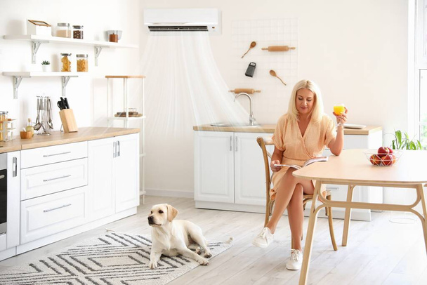 Mujer madura y lindo perro Labrador en cocina con aire acondicionado encendido - Foto, Imagen