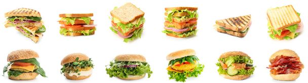 Набір різних бутербродів і гамбургерів ізольовані на білому
 - Фото, зображення