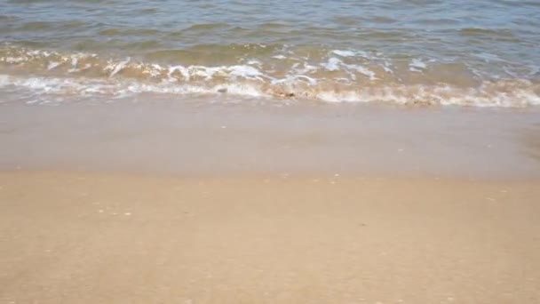 波がビーチを襲い波がビーチを襲い - 映像、動画