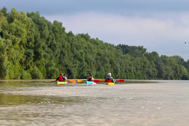 Groupe d'amis (personnes) voyagent en kayak. Kayak ensemble dans le Danube sauvage et réserve de biosphère en été. Scène nature paisible de rivière calme. Concept de tourisme aquatique - Photo, image