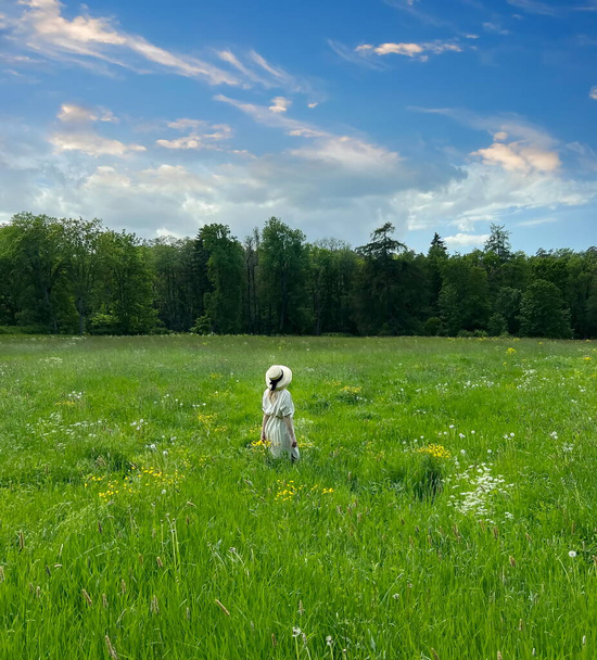  campo de pradera y la mujer en el campo salvaje con flores de color amarillo flor y el cielo brillante con nubes blancas paisaje de la naturaleza de verano, hierba verde hierbas paisaje estilo de vida  - Foto, imagen