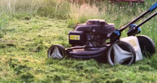 запустити бензинову газонокосарку і очистити від трави на заході сонця
 - Кадри, відео