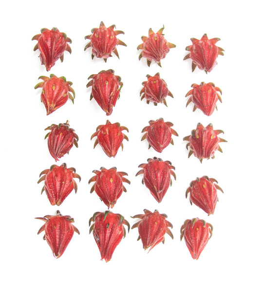 ryhmä Roselle hedelmiä eristetty valkoisella taustalla. Yläkuva - Valokuva, kuva