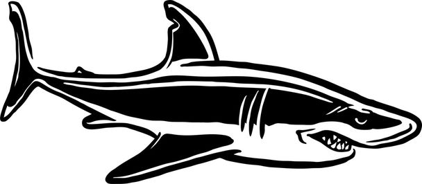 サメの攻撃 - ベクター画像