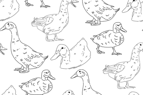 Simple seamless pattern with hand drawn ducks. Can be used for any graphic design ideas. Black and white vector illustration. Line art.  - Wektor, obraz