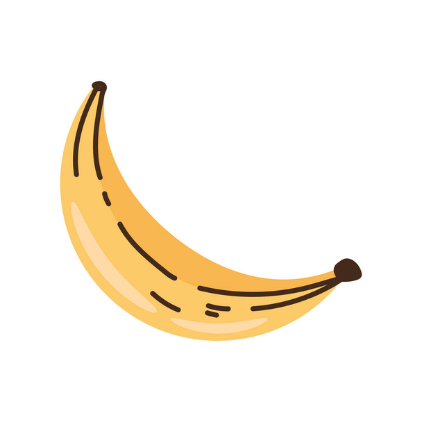 fresh banana fruit isolated icon - Vector, Image