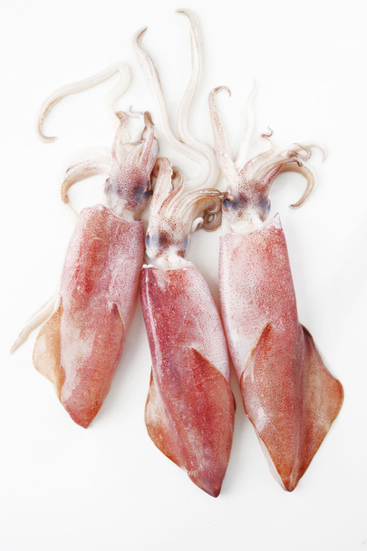 three squid on white background - Фото, зображення