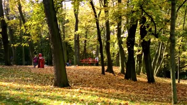 Hřiště - uklidnit lidi - podzimní park (lesní - stromy) - listí - rodina - Záběry, video