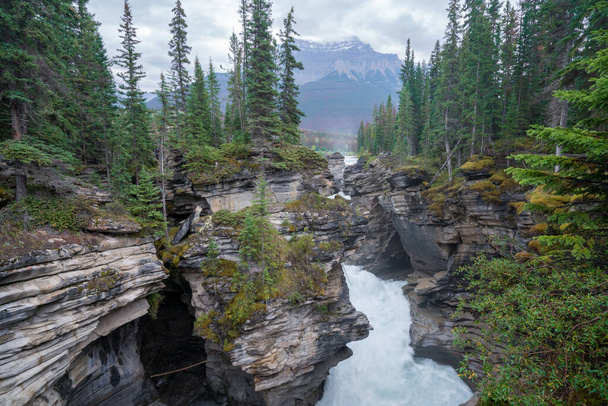 Mighty Athabasca Falls on a cloudy, rainy day in Jasper National Park, Alberta, Canada. Hazy mountains in the background. Rainy summer in Canadian Rockies - Foto, Imagen