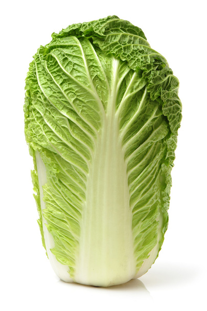 Chinese cabbage - Foto, imagen