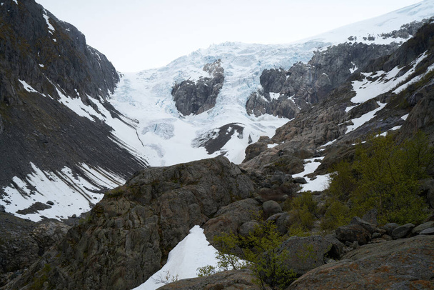 Buarbreen Gletscherkappe in den Bergen mit Wald im Vordergrund, Odda, Hardanger Region, Hordaland County, Norwegen - Foto, Bild