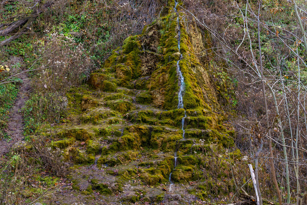 Natural spring with mineral drinking water in the wild with stones overgrown with moss. Background or backdrop with copy space for text - Photo, Image