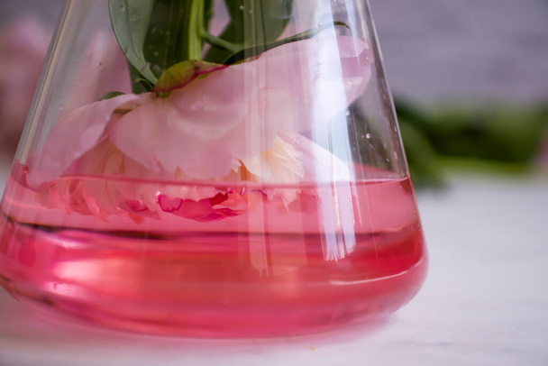 Laboratory flask flower on a light background - Zdjęcie, obraz