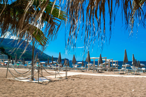 Rows of umbrellas and sun loungers against backdrop of palm leaves on public sundy beach at sunny day. Calm sea and blue sky. Budva Riviera. Seaside vacation resort season. Becici, Montenegro. - Photo, Image