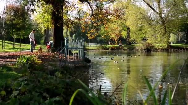 Herfst park (bomen) - mensen ontspannen - lake met eenden - familie en vrienden - gevallen bladeren - Video