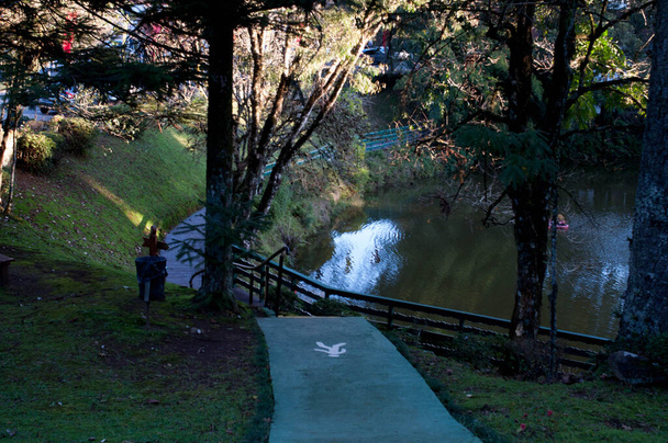 foto van een pad in een prachtig park - Foto, afbeelding
