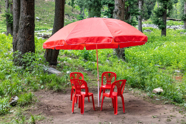 Стулья и стол в лесу - Фото, изображение