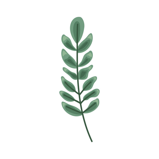 branch with green leafs plant - Vector, afbeelding