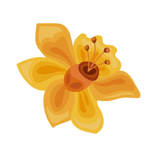 yellow exotic flower nature icon - Vetor, Imagem