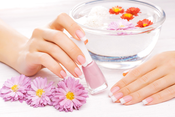 french manicure with colorful chrysanthemum - 写真・画像