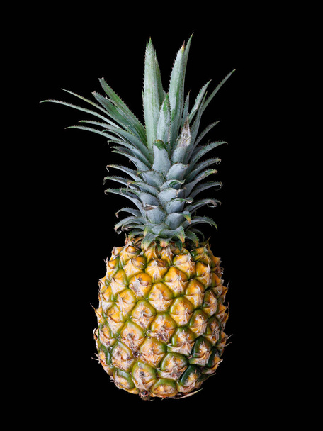 A closeup shot of a Pineapple (Ananas comosus) isolated on black background - Fotografie, Obrázek