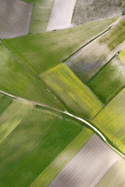 Aerial view of the geographical composition of cultivated fields  - Valokuva, kuva