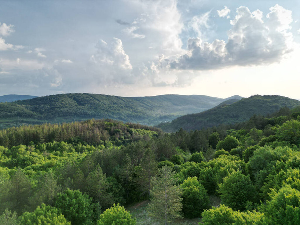 A mesmerizing view of a Forest with mountains under a cloudy sky - Fotografie, Obrázek