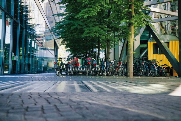 A beautiful shot of a group of parked bicycles in the street under tree in front of modern building - Fotoğraf, Görsel