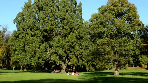 Sonbahar park (ağaç - orman) - insanlar sakin ol - güneşli - mavi gökyüzü - Video, Çekim