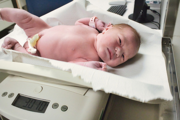 Um recém-nascido sendo pesado em balança digital na maternidade do hospital - Foto, Imagem