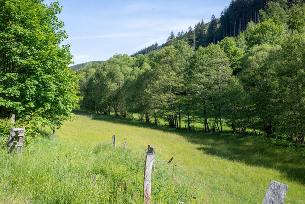 Landscape in a German low mountain range in summer - Fotoğraf, Görsel