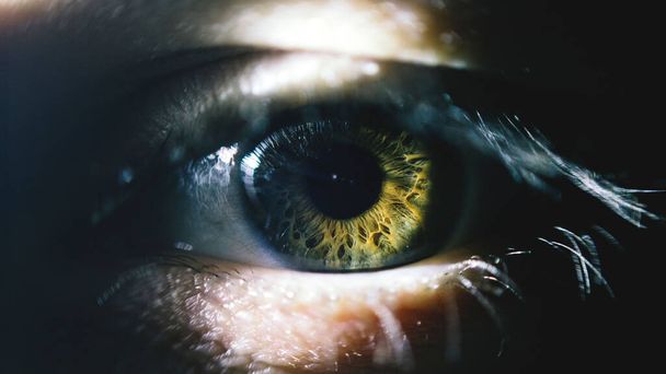 A closeup shot of a beautiful green human eye - Foto, Imagen
