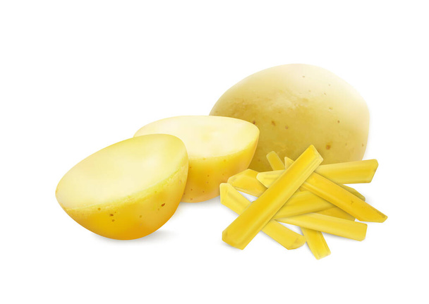 Gefrituurde aardappelen realistische samenstelling met blanco achtergrond en uitzicht op gesneden aardappelen met frites sticks vector illustratie - Vector, afbeelding