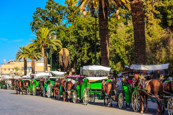 Paarden getrokken wagens op het centrale plein in Marrakech - Foto, afbeelding
