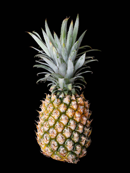 A closeup shot of a Pineapple (Ananas comosus) isolated on black background - Foto, Imagem