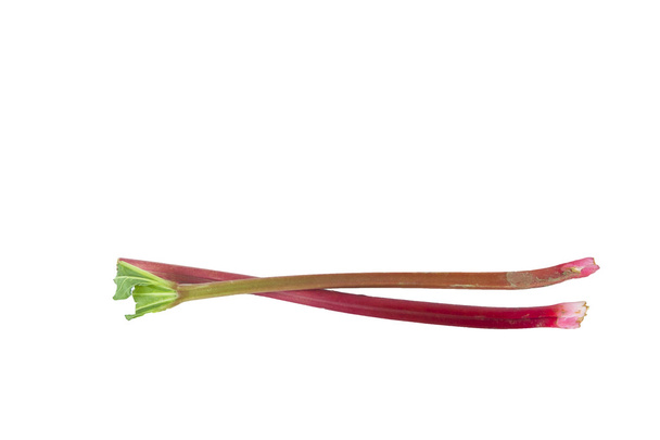 Rhubarbe - Photo, image