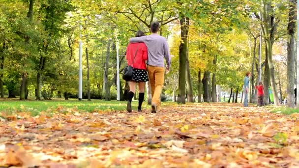 Осенний парк (лес - деревья) - опавшие листья - трава - люди на заднем плане (друзья и семья)
) - Кадры, видео