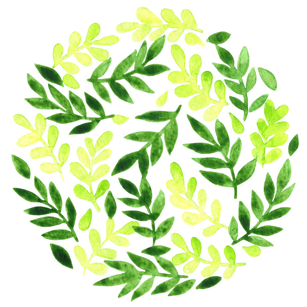 Fresh green fern leaves wreath watercolor for decoration on spring season and organic life style concept. - Fotoğraf, Görsel