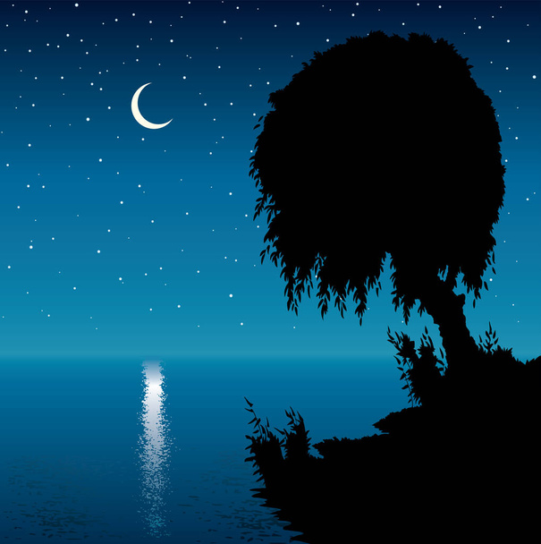 Rural peace calm fall season scene dream graphic draw art style. Old quiet island forest creek surface cane grass bush plant bank frame scenic view light blue starry glow heaven text space backdrop - Vector, Image